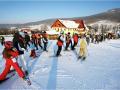 Stok narciarski