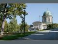 Bursztynowe Buki - okolica