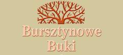 Willa Bursztynowe Buki
