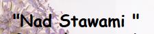 Nad Stawami Agroturism